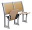 Chaise de lieu de réunion en métal de contreplaqué/bureau d'école et ensemble pliables de chaise fournisseur